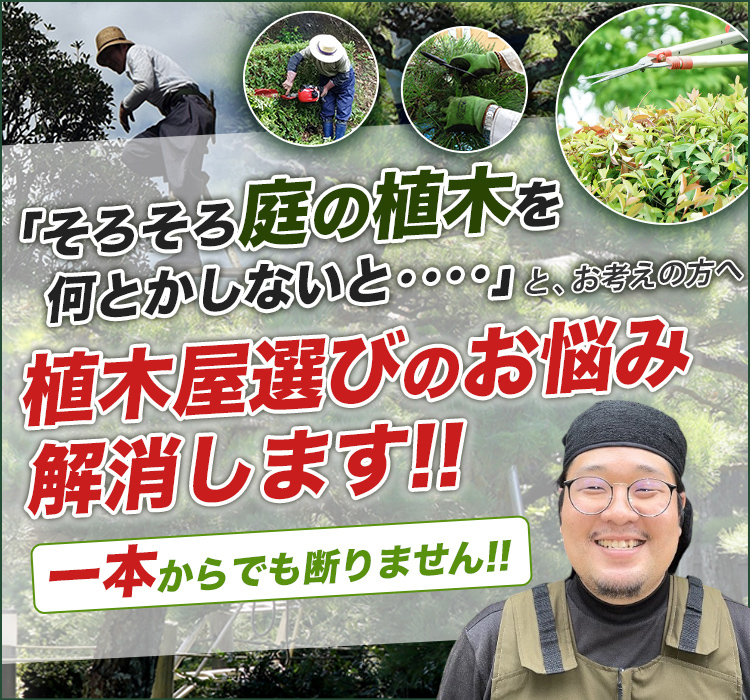 東海市、半田市、知多市 庭木・植木の 庭の匠