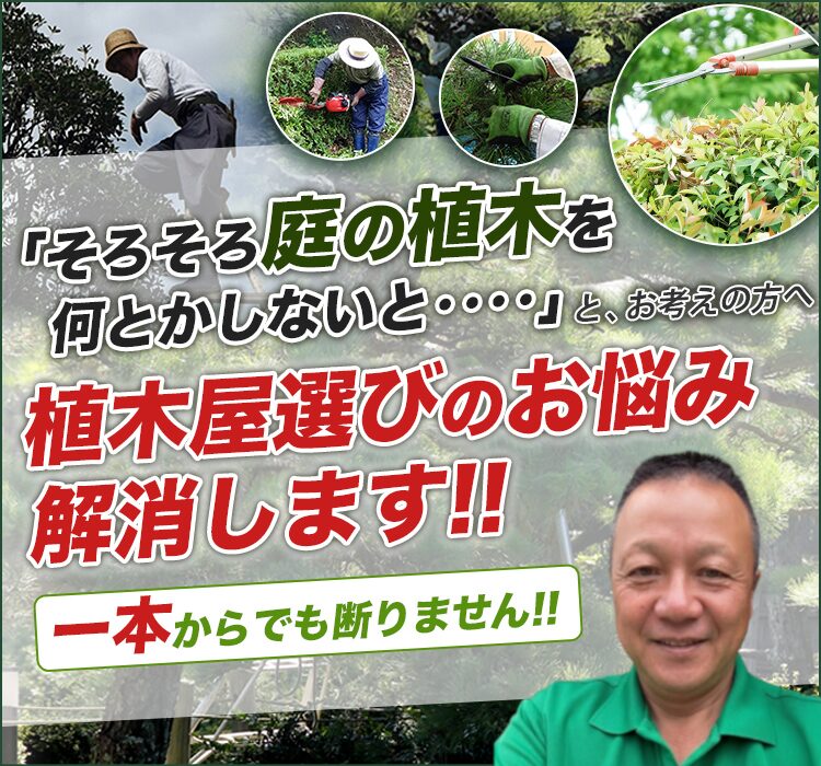 福山市、尾道市 庭木・植木の 備州今津荘