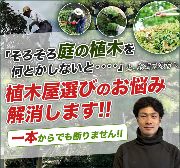 宗像市、福津市、古賀市 庭木・植木の 福庭造園