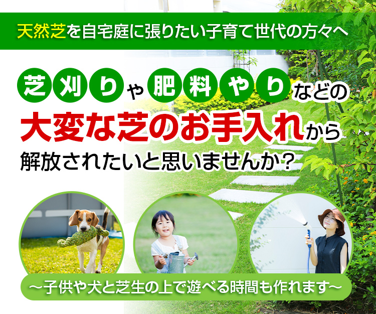 弥富市の芝張り会社】子育て中にうれしいお手入れ簡単な芝張り