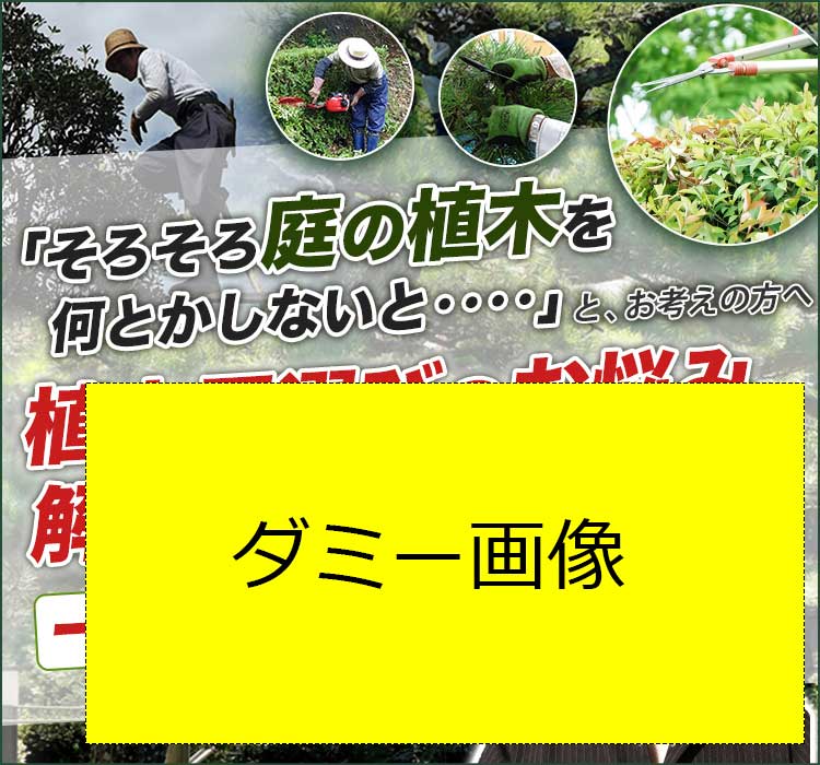 mainimage_sp