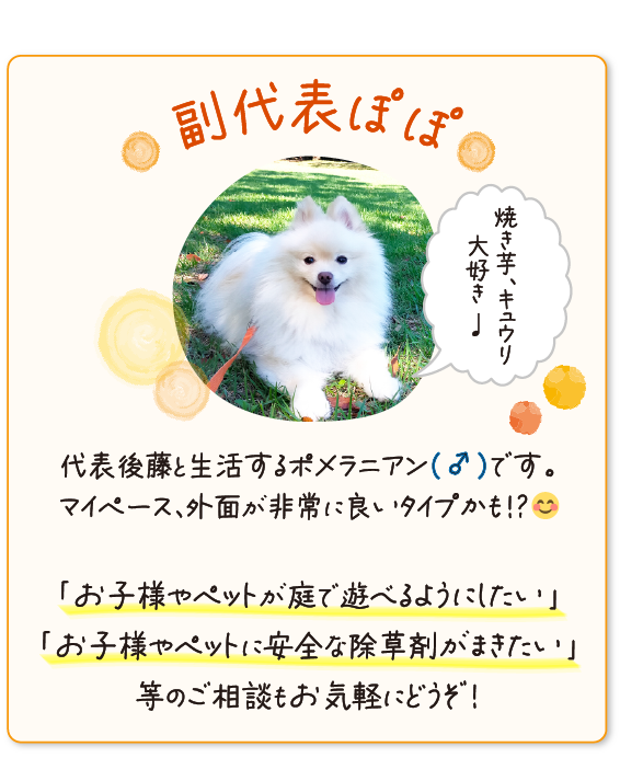 副代表ぽぽ
