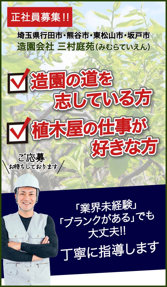 三村庭苑正社員募集