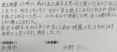 お客様の声