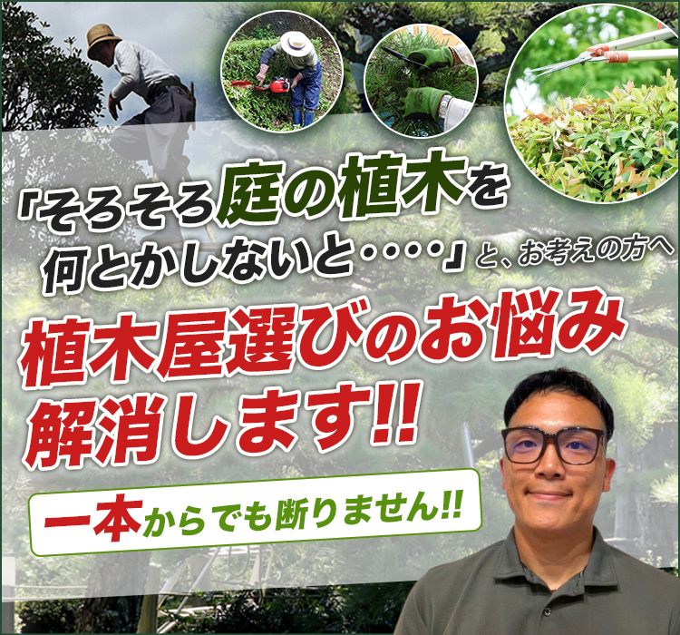 草津市、大津市、守山市 庭木・植木の 庭湖造園