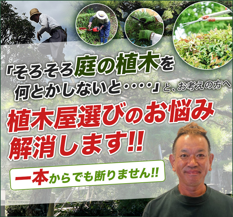 久留米市、小郡市、筑後市 庭木・植木の 庭鷹造園