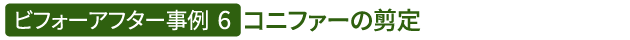 ビフォーアフター事例6（コニファーの剪定）