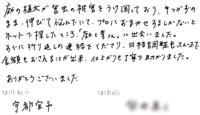 お客様の声