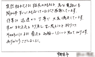 お客様の声