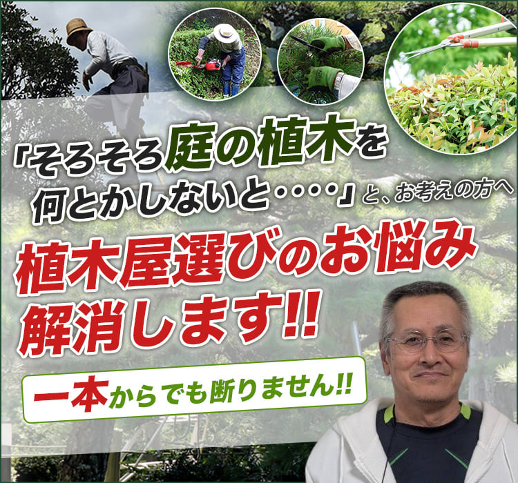 mainimage_sp