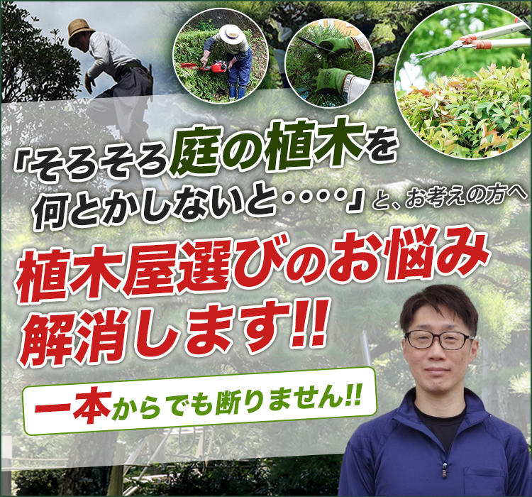 安城市、知立市、西尾市 庭木・植木の さつき造園