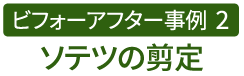 ビフォーアフター事例2（ソテツの剪定）