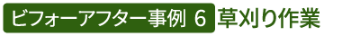 ビフォーアフター事例6（草刈り作業）