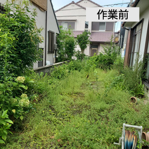 作業前の写真
