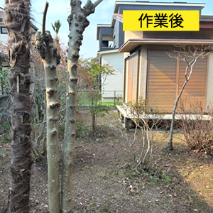 作業後の写真
